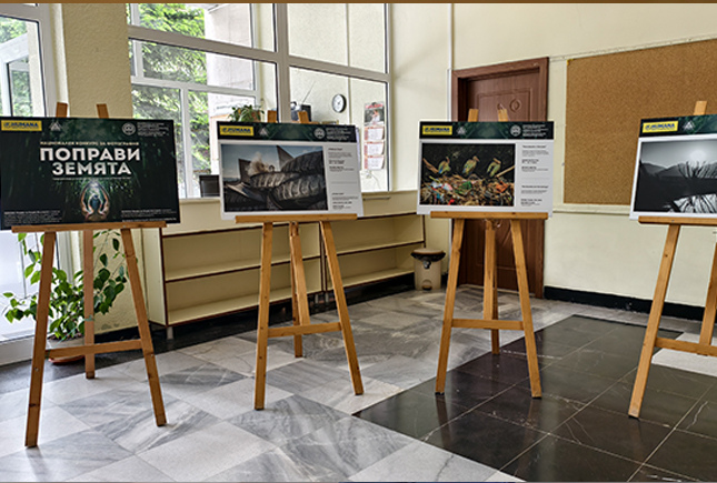 news-mariza-exhibition