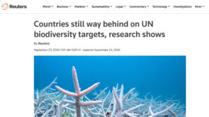 reuters-article